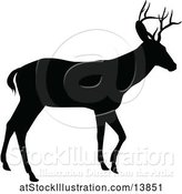 Vector Illustration of Black Silhouetted Deer Stag Buck by AtStockIllustration