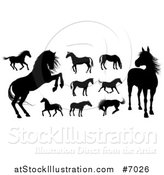 Vector Illustration of Black Silhouetted Horses by AtStockIllustration
