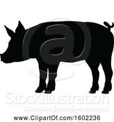 Vector Illustration of Black Silhouetted Pig by AtStockIllustration