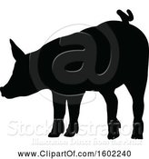 Vector Illustration of Black Silhouetted Pig by AtStockIllustration