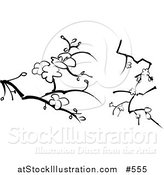 Vector Illustration of Blossoms on Branches Designs by AtStockIllustration