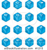 Vector Illustration of Blue Cube Icons: Searches, View Finders, Www, Magnifying Glasses, Dogs, Flashlight, and Spider by AtStockIllustration