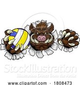 Vector Illustration of Boar Razorback Hog Volleyball Volley Ball Mascot by AtStockIllustration