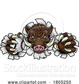 Vector Illustration of Boar Wild Hog Razorback Warthog Baseball Mascot by AtStockIllustration