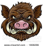 Vector Illustration of Boar Wild Hog Razorback Warthog Mascot Pig by AtStockIllustration