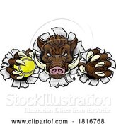 Vector Illustration of Boar Wild Hog Razorback Warthog Pig Tennis Mascot by AtStockIllustration