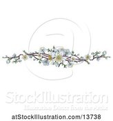 Vector Illustration of Border of White Spring Blossoms by AtStockIllustration