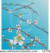 Vector Illustration of Branches with Spring Blossoms over Blue Sky by AtStockIllustration