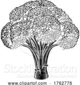 Vector Illustration of Broccoli Vegetable Vintage Woodcut Illustration by AtStockIllustration