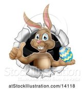 Vector Illustration of Brown Easter Bunny Rabbit Giving a Thumb up and Holding an Egg While Emerging from a Hole by AtStockIllustration