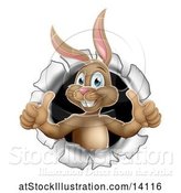 Vector Illustration of Brown Easter Bunny Rabbit Giving Two Thumbs up and Emerging from a Hole by AtStockIllustration