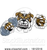 Vector Illustration of Bulldog Dog Weight Lifting Dumbbell Gym Mascot by AtStockIllustration