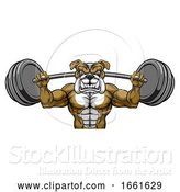 Vector Illustration of Bulldog Mascot Weight Lifting Body Builder by AtStockIllustration