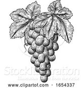 Vector Illustration of Bunch of Grapes on Grapevine and Leaves by AtStockIllustration