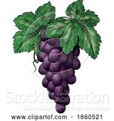 Vector Illustration of Bunch of Grapes on Vine with Leaves by AtStockIllustration