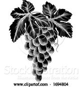 Vector Illustration of Bunch of Grapes on Vine with Leaves by AtStockIllustration