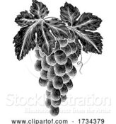 Vector Illustration of Bunch of Grapes on Vine with Leaves by AtStockIllustration