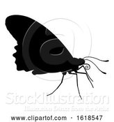 Vector Illustration of Butterfly Insect Animal Silhouette by AtStockIllustration