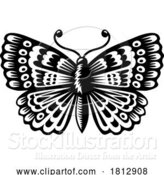 Vector Illustration of Butterfly Pattern Vintage Abstract Style Design by AtStockIllustration