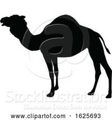 Vector Illustration of Camel Animal Silhouette by AtStockIllustration