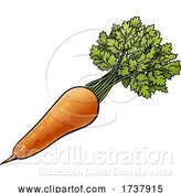 Vector Illustration of Carrot Vegetable Illustration by AtStockIllustration