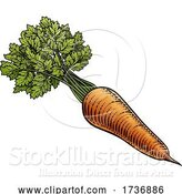 Vector Illustration of Carrot Vegetable Vintage Woodcut Illustration by AtStockIllustration