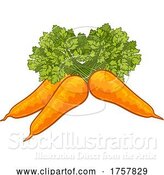 Vector Illustration of Carrots Vegetable Illustration by AtStockIllustration
