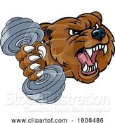 Vector Illustration of Cartoon Bear Grizzly Weight Lifting Dumbbell Gym Mascot by AtStockIllustration