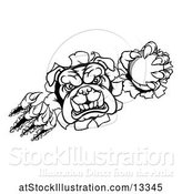 Vector Illustration of Cartoon Black and White Bulldog Monster Shredding Through a Wall with a Cricket Ball in One Hand by AtStockIllustration