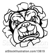 Vector Illustration of Cartoon Black and White Mad Bulldog Breaking Through a Wall by AtStockIllustration