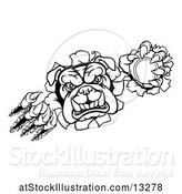 Vector Illustration of Cartoon Black and White Tough Bulldog Monster Sports Mascot Holding out a Tennis Ball in One Clawed Paw and Breaking Through a Wall by AtStockIllustration