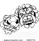 Vector Illustration of Cartoon Bulldog Dog Soccer Football Ball Sports Mascot by AtStockIllustration