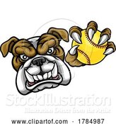 Vector Illustration of Cartoon Bulldog Softball Animal Sports Team Mascot by AtStockIllustration