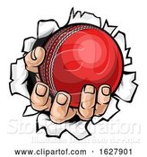 Vector Illustration of Cartoon Cricket Ball Hand Tearing Background by AtStockIllustration