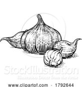 Vector Illustration of Cartoon Garlic by AtStockIllustration