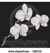 Vector Illustration of Cartoon Orchid Flower Woodcut Etching by AtStockIllustration