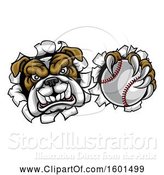 Vector Illustration of Cartoon Tough Bulldog Monster Sports Mascot Holding out a Baseball in One Clawed Paw and Breaking Through a Wall by AtStockIllustration