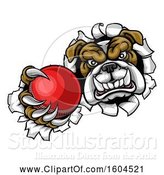 Vector Illustration of Cartoon Tough Bulldog Monster Sports Mascot Holding out a Cricket Ball in One Clawed Paw and Breaking Through a Wall by AtStockIllustration