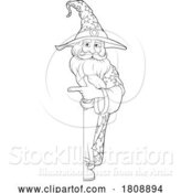 Vector Illustration of Cartoon Wizard Merlin Beard Magician Guy Character by AtStockIllustration