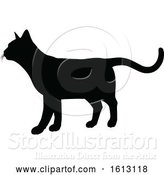 Vector Illustration of Cat Silhouette by AtStockIllustration