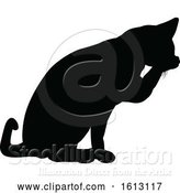 Vector Illustration of Cat Silhouette by AtStockIllustration