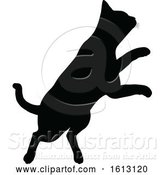 Vector Illustration of Cat Silhouette by AtStockIllustration