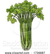 Vector Illustration of Celery Vegetable Vintage Woodcut Illustration by AtStockIllustration
