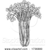 Vector Illustration of Celery Vegetable Vintage Woodcut Illustration by AtStockIllustration