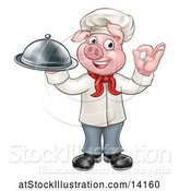 Vector Illustration of Chef Pig Holding a Cloche and Gesturing Okay by AtStockIllustration