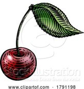 Vector Illustration of Cherry Berry Fruit Vintage Woodcut Illustration by AtStockIllustration