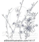 Vector Illustration of Cherry Blossom Branches Background by AtStockIllustration