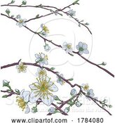 Vector Illustration of Cherry Peach Blossom Tree Flowers by AtStockIllustration