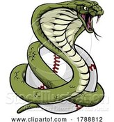 Vector Illustration of Cobra Snake Baseball Ball Animal Sport Team Mascot by AtStockIllustration
