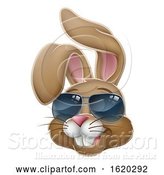 Vector Illustration of Cool Easter Bunny Rabbit in Sunglasses by AtStockIllustration